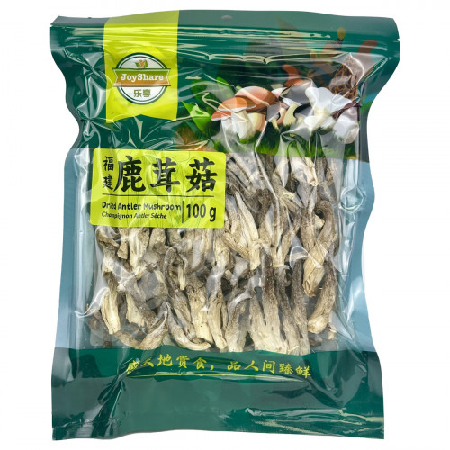 鹿茸菇