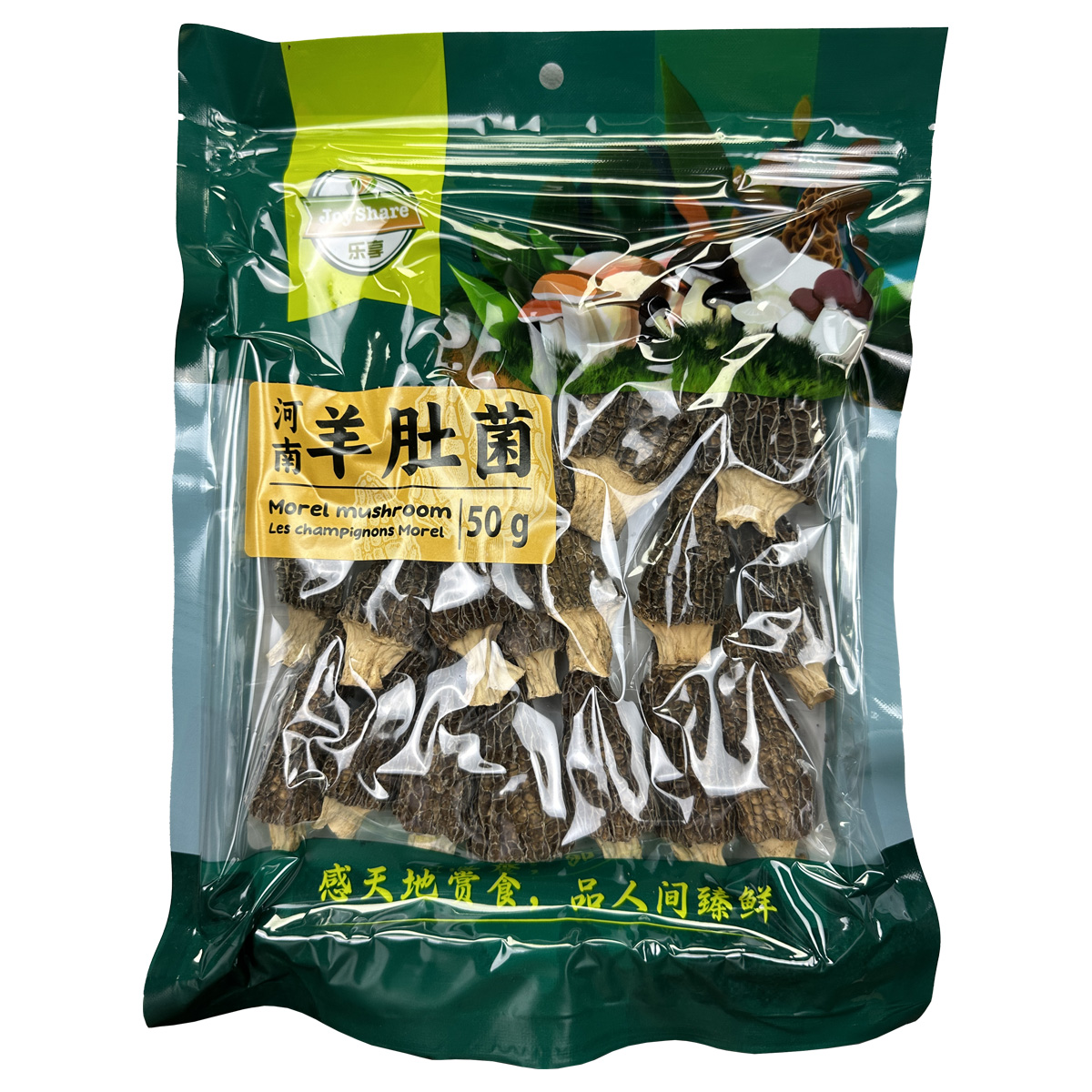 羊肚菌